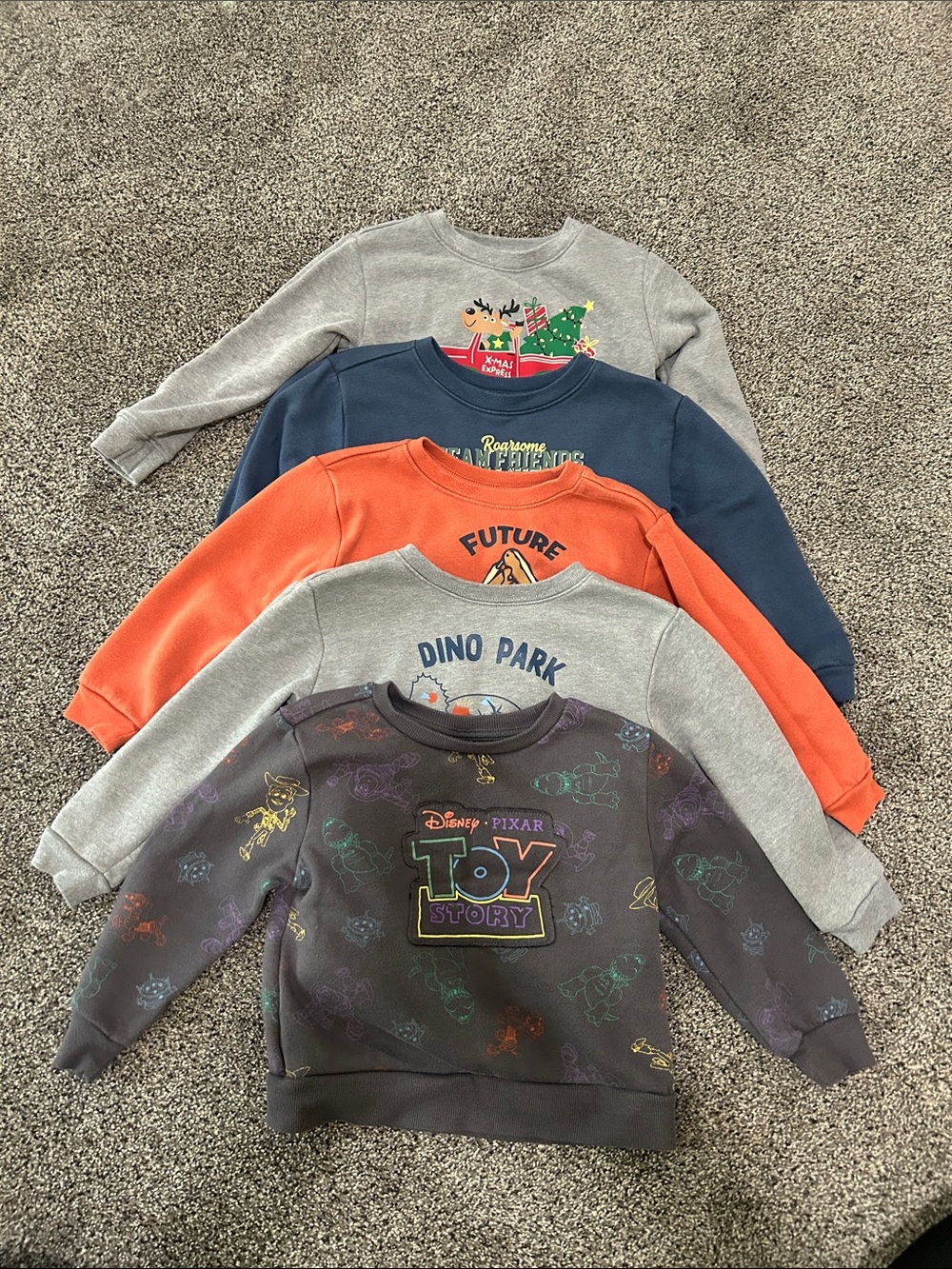 Toddler Boy Sweatshirt - set of 5